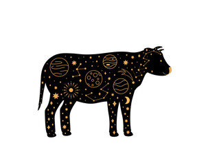 Black magical cow, Mystic crescent moon esoteric symbol, constellation elements.