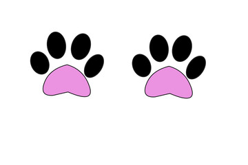 Cat's face and cat's paws isolated on a white background