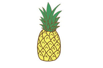 Vector drawing with pineapple or plan pineapple fruits in yellow and green leaf isolated on white background by tropical fruits - obrazy, fototapety, plakaty