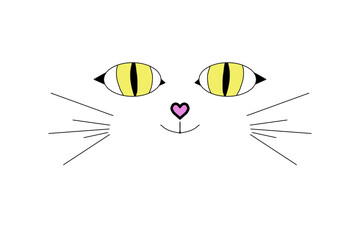 Cat's face and cat's paws isolated on a white background