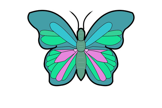 Blue, green and pink butterfly on flowers, nature isolated on a white background