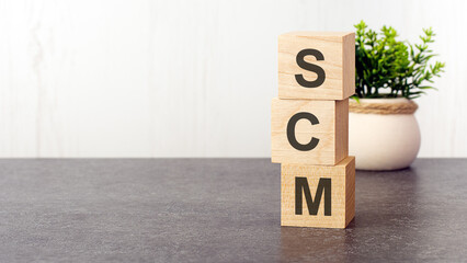 letters of the alphabet of SCM on wooden cubes, green plant, white background