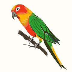 Exotic parrot sitting on branch. Tropical bird vector