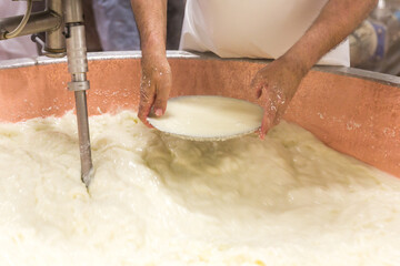Parmesan cheese prduction process in Bologna Italy