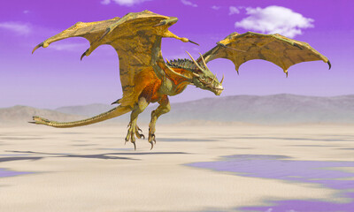 dragon is landing on the desert after rain