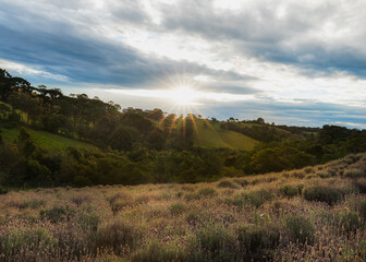 O Contemplário de Cunha e suas Lavandas
