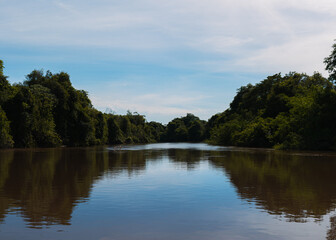 Fototapeta na wymiar Rio Aquidauana no Pantanal
