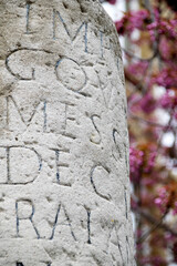 Bonn, Nordstadt, Römischer Meilenstein mit Kirschblüten