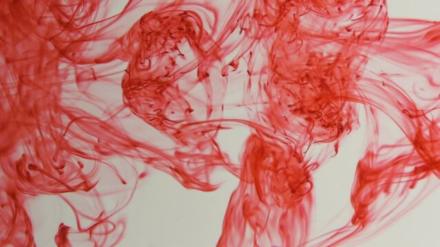 Red ink in water. Ink blots are falling and spread. Macro.