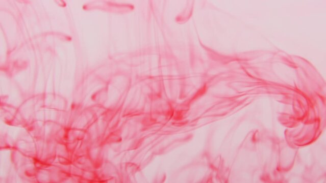 Red ink in water. Ink blots are falling and spread. Macro.