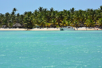 Obraz premium Saona Island, Dominican Republic - near Isla Saona, Caribbean coast