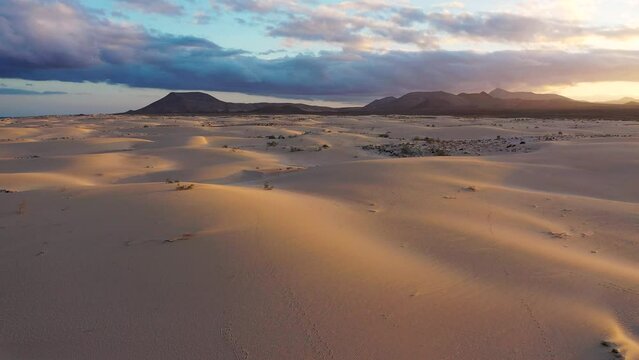 Panoramic high angle aerial drone view of Corralejo National Park (Parque Natural de Corralejo) with sand dunes located in the northeast corner of the island of Fuerteventura, Canary Islands, Spain.