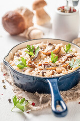 Rustic mushrooms risotto with wild boletus and herbs