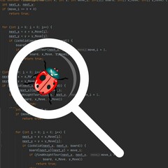 Finding bugs in the programmer's code