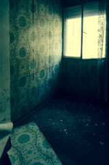 Habitación abandonada con ventana y papel pintado - 496538830