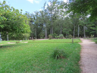 path in the park