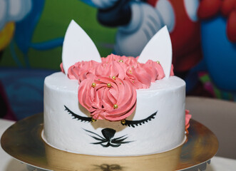 Obraz na płótnie Canvas beautiful cake in the form of a cute cat