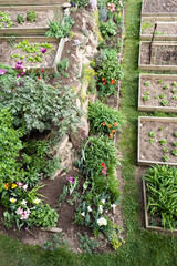 top view of flowers and vegetables in a terraced garden