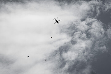 Obraz premium Pride of the Ukrainian land