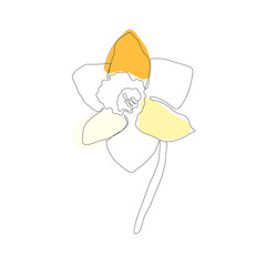 Continuous one simple single abstract line drawing of daffodil flower icon in silhouette on a white background. Linear stylized. Vector illustration.
