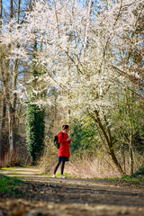 Fototapeta premium A woman in a red jacket is walking through a park in spring