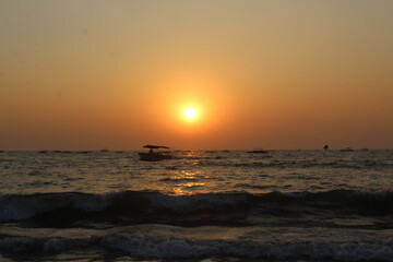 Nature Photography & Social Media