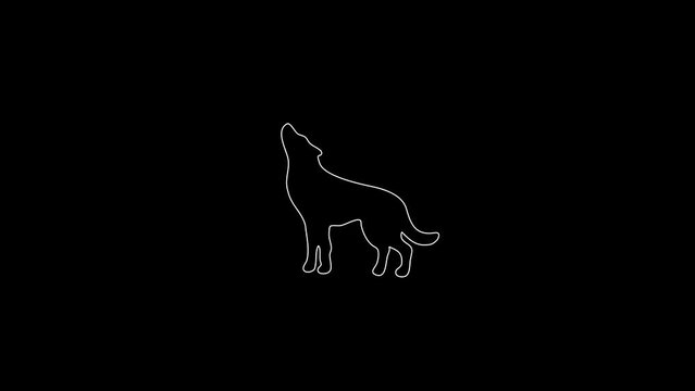 white linear wolf silhouette. the picture appears and disappears on a black background.
