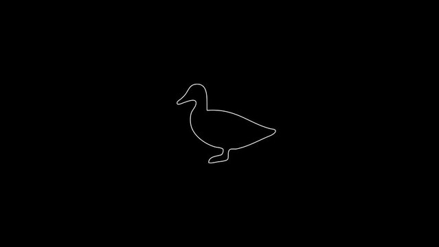 white linear duck silhouette. the picture appears and disappears on a black background.
