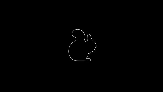 white linear squirrel silhouette. the picture appears and disappears on a black background.
