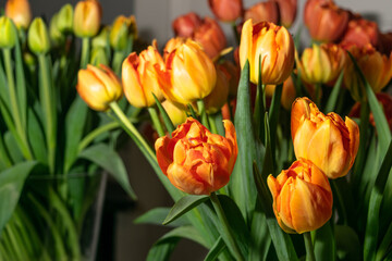 Obraz premium Tulip Bouquet, Spring Tulipa Flowers