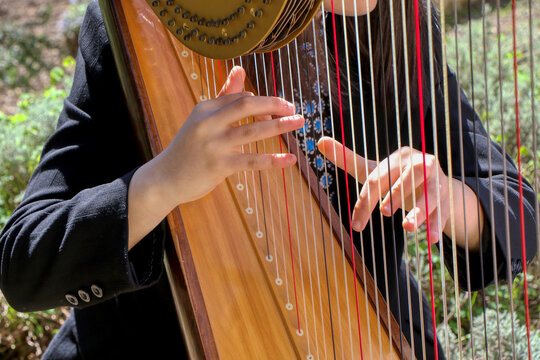 Harp Player
