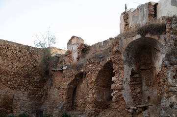 ruins of the castle