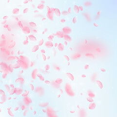 Fototapeta na wymiar Sakura petals falling down. Romantic pink flowers gradient. Flying petals on blue sky square background. Love, romance concept. Astonishing wedding invitation.