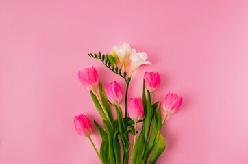 A fresh romantic floral composition made of pink tulips and a white freesia on pink background. Elegant concept for spring banner or card or annoucement. Flat lay