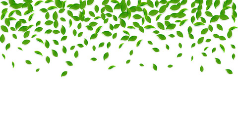 Falling green leaves. Fresh tea chaotic leaves fly