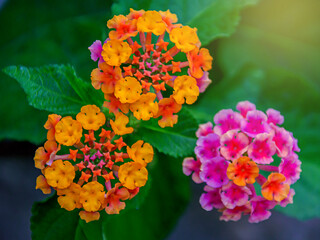 The power of God's arrangement 