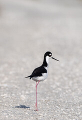 one leg or two