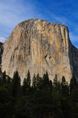 The imposing granite rock face of El Capitan towering above the woods of Yosemite National Park, California, USA