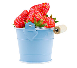 Red strawberries in a metal bucket isolated on white background.