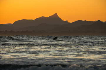 Dolphin at sunset, Byron Bay Australia