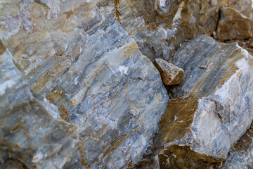 close up detail of dry rock surface under natural light