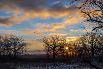 sunset in the winter