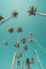 Fototapete Türkis Tropische Palme mit abstraktem Hintergrund des blauen Himmels und der Wolke. Sommerurlaub und Naturreise-Abenteuerkonzept.