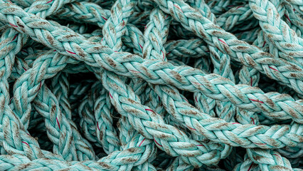 Thick green rope close up