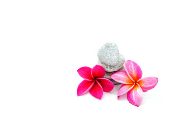 Pink Plumeria against stacking stone on white background.