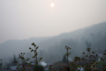 A Early Morning Sunrise in a Village of Sikkim