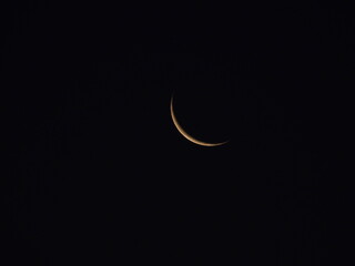 Waning Crescent high in the sky