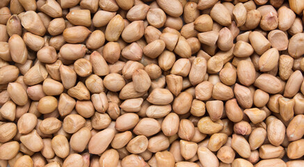 Peanut kernels in full screen.  Raw peanuts in close up.