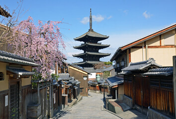 Yasaka Pagoda and cherry tree in Kyoto City