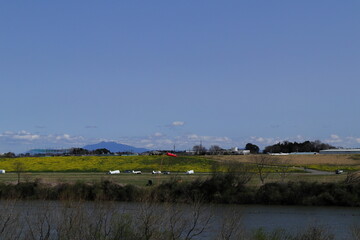 日本・埼玉の春